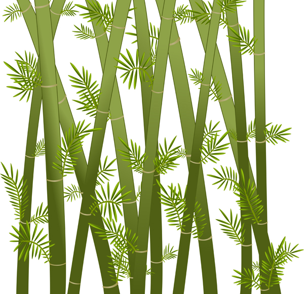 SCENERY Bamboo`BM 34